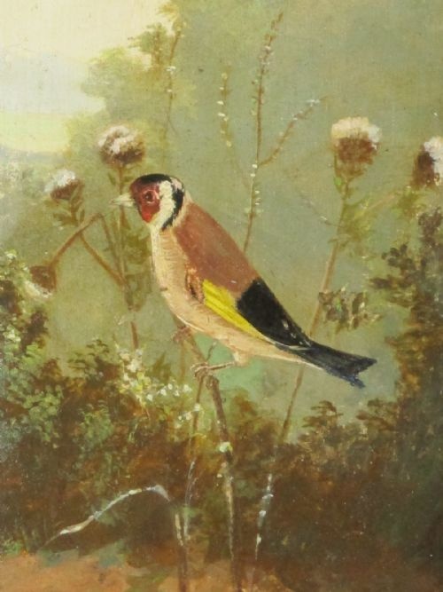 CHARMING OIL PAINTING OF A GOLDFINCH - ADDITIONAL PHOTO 3