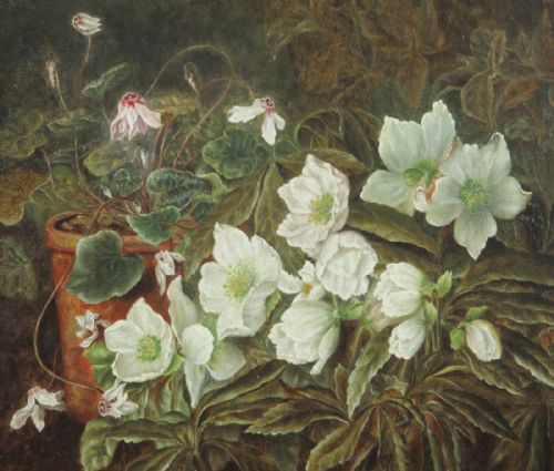 LATE VICTORIAN STILL LIFE OIL PAINTING - ADDITIONAL PHOTO 3