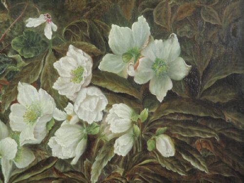 LATE VICTORIAN STILL LIFE OIL PAINTING - ADDITIONAL PHOTO 4