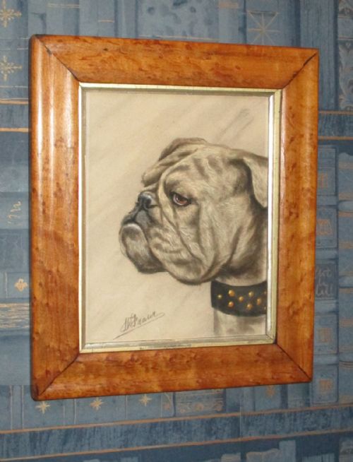charming edwardian pastel of a bulldog - CATEGORY: ANTIQUE ART - DATED 1900