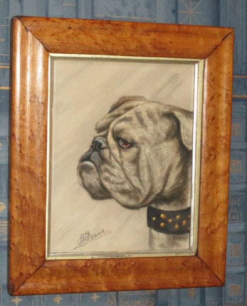 CHARMING EDWARDIAN PASTEL OF A BULLDOG - ADDITIONAL PHOTO 1