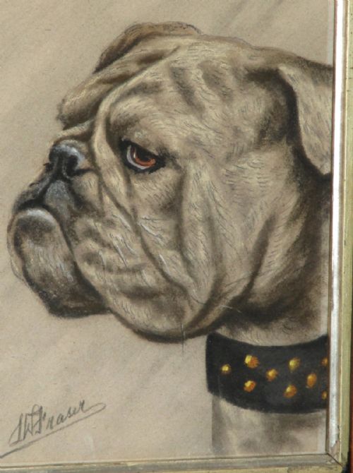 CHARMING EDWARDIAN PASTEL OF A BULLDOG - ADDITIONAL PHOTO 2