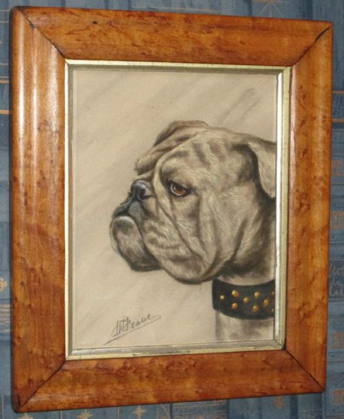CHARMING EDWARDIAN PASTEL OF A BULLDOG - ADDITIONAL PHOTO 3