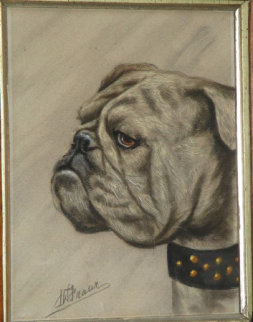 CHARMING EDWARDIAN PASTEL OF A BULLDOG - ADDITIONAL PHOTO 4