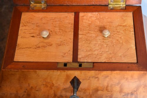 FINE AND UNUSUAL SATINWOOD TEA CADDY - ADDITIONAL PHOTO 4