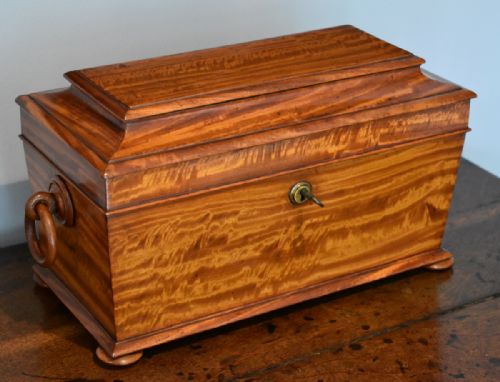 SUPERB QUALITY SATINWOOD TEA CADDY - ADDITIONAL PHOTO 1
