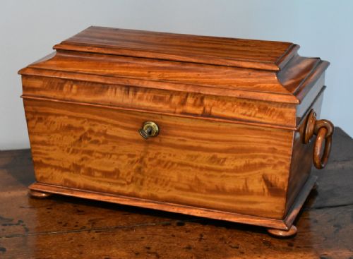 SUPERB QUALITY SATINWOOD TEA CADDY - ADDITIONAL PHOTO 3