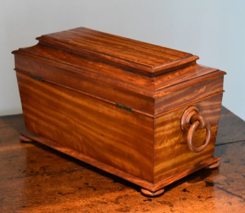 SUPERB QUALITY SATINWOOD TEA CADDY - ADDITIONAL PHOTO 4