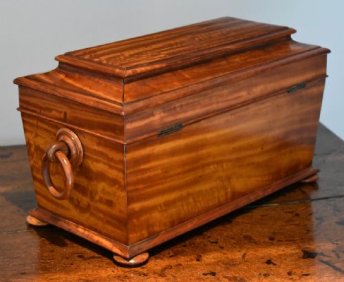 SUPERB QUALITY SATINWOOD TEA CADDY - ADDITIONAL PHOTO 5