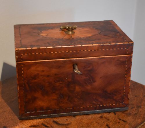georgian bur yew tea caddy - CATEGORY: ANTIQUE BOXES - DATED GEORGIAN