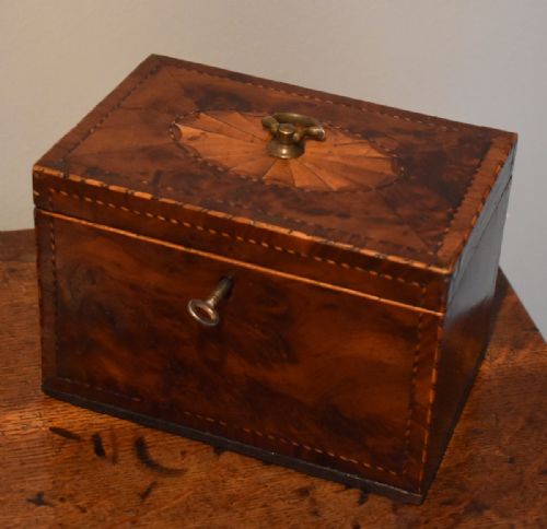 GEORGIAN BUR YEW TEA CADDY - ADDITIONAL PHOTO 1