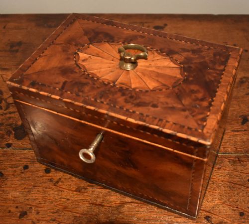 GEORGIAN BUR YEW TEA CADDY - ADDITIONAL PHOTO 3