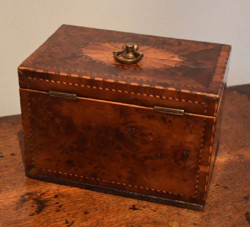 GEORGIAN BUR YEW TEA CADDY - ADDITIONAL PHOTO 5