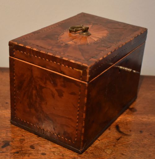 GEORGIAN BUR YEW TEA CADDY - ADDITIONAL PHOTO 6