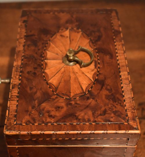 GEORGIAN BUR YEW TEA CADDY - ADDITIONAL PHOTO 7
