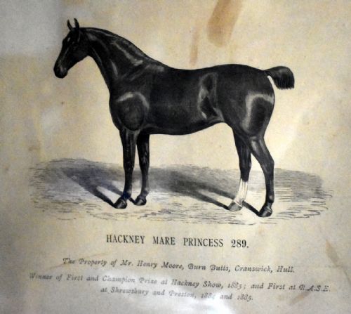 PAIR OF VICTORIAN PRINTS OF HORSES - ADDITIONAL PHOTO 3