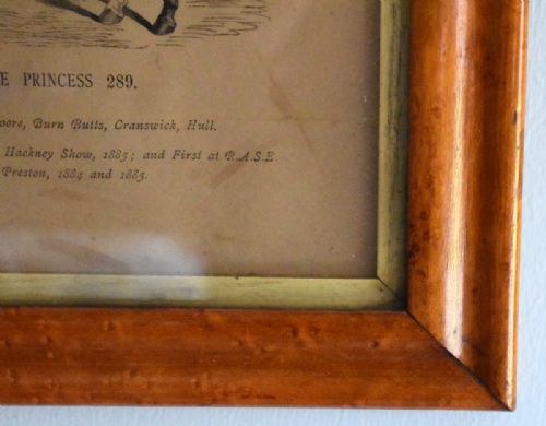 PAIR OF VICTORIAN PRINTS OF HORSES - ADDITIONAL PHOTO 4