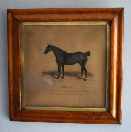 PAIR OF VICTORIAN PRINTS OF HORSES - ADDITIONAL PHOTO 6
