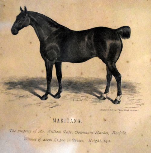 PAIR OF VICTORIAN PRINTS OF HORSES - ADDITIONAL PHOTO 7