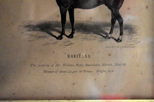 PAIR OF VICTORIAN PRINTS OF HORSES - ADDITIONAL PHOTO 8