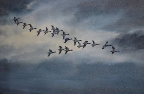 'WILD GEESE OFF THE WESTERN ISLES' WATERCOLOUR BY CECIL HODGKINSON - ADDITIONAL PHOTO 4