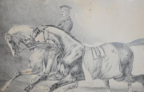 SUPERB VICTORIAN DRAWING OF HORSES - ADDITIONAL PHOTO 2