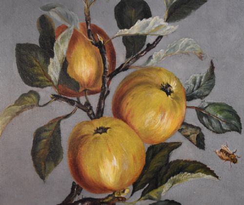 FINE BOTANICAL OIL PAINTING OF APPLE BRANCH WITH BEE - ADDITIONAL PHOTO 3