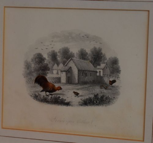 SUPERB PAIR OF REGENCY DRAWINGS WITH CHICKENS - ADDITIONAL PHOTO 2