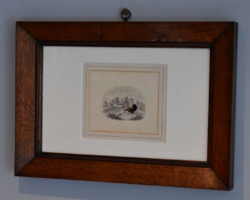 SUPERB PAIR OF REGENCY DRAWINGS WITH CHICKENS - ADDITIONAL PHOTO 4