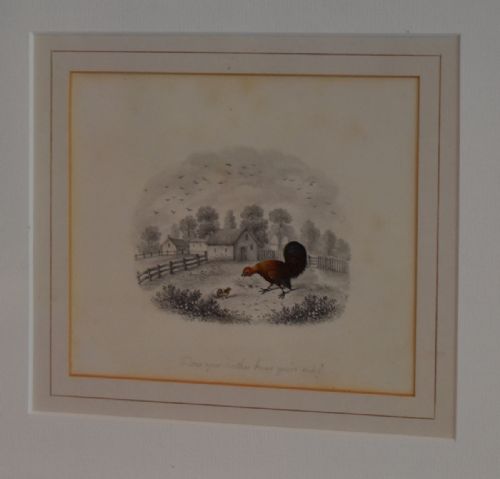 SUPERB PAIR OF REGENCY DRAWINGS WITH CHICKENS - ADDITIONAL PHOTO 5