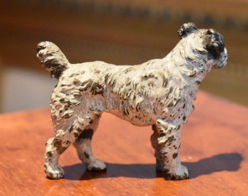 COLD PAINTED BRONZE DOG - ADDITIONAL PHOTO 5