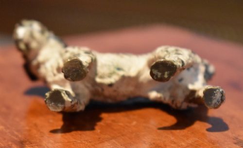 COLD PAINTED BRONZE DOG - ADDITIONAL PHOTO 6