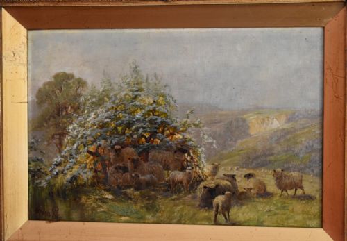 OIL PAINTING OF SHEEP IN ARUNDEL PARK BY SIDNEY PIKE - ADDITIONAL PHOTO 2