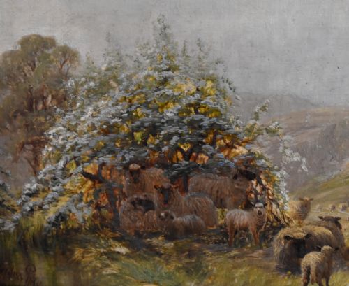 OIL PAINTING OF SHEEP IN ARUNDEL PARK BY SIDNEY PIKE - ADDITIONAL PHOTO 5