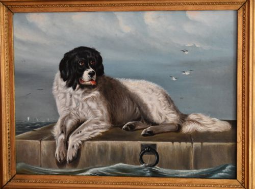 OIL PAINTING OF A NEWFOUNDLAND DOG AFTER LANDSEER - ADDITIONAL PHOTO 2
