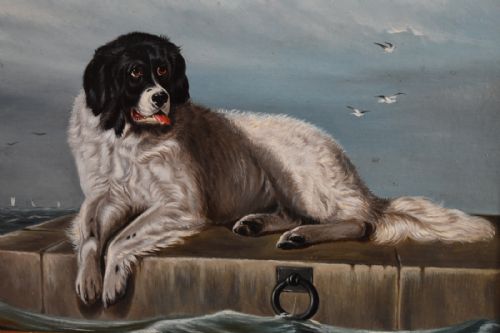 OIL PAINTING OF A NEWFOUNDLAND DOG AFTER LANDSEER - ADDITIONAL PHOTO 3
