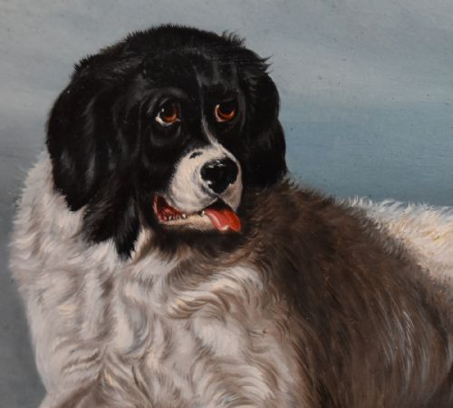 OIL PAINTING OF A NEWFOUNDLAND DOG AFTER LANDSEER - ADDITIONAL PHOTO 4