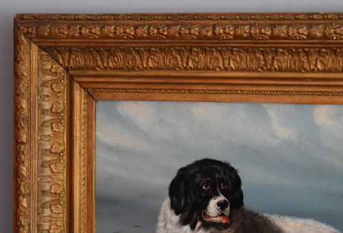 OIL PAINTING OF A NEWFOUNDLAND DOG AFTER LANDSEER - ADDITIONAL PHOTO 5