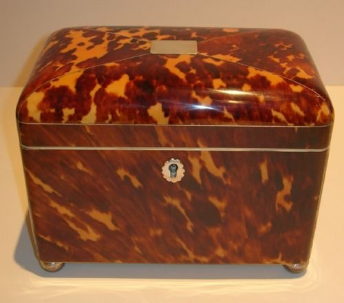 Magnificent English Regency Period Tortoise Shell Tea Caddy