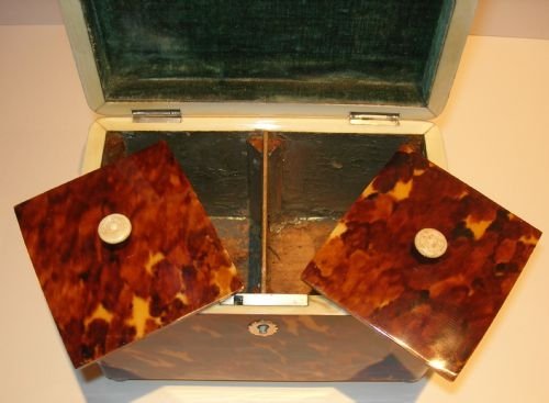 fig 1. Magnificent English Regency Period Tortoise Shell Tea Caddy