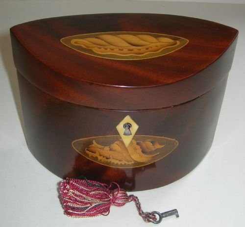 English Mahogany Shell Inlaid Tea Caddy - Georgian