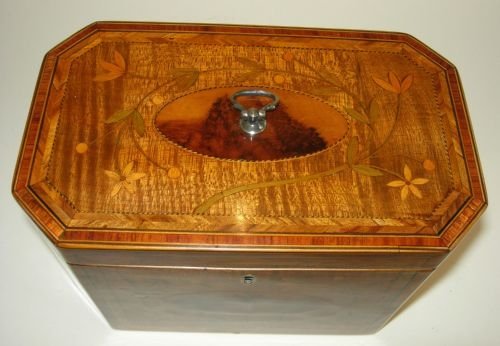 fig 1. Rare & Exquisite Floral & Foliate Inlaid Georgian Harewood Tea Caddy / Jewellery Box c.1800