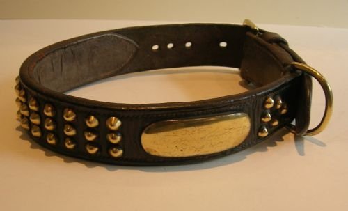 Huge Antique English Leather & Brass Dog Collar C.1900