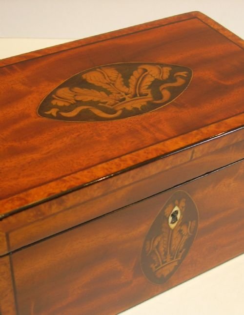 fig 1. Magnificent English Georgian Mahogany & Amboyna Tea Caddy - Prince of Wales Feather Inlay