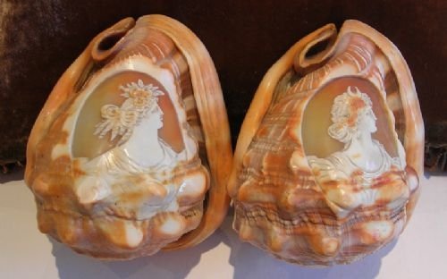Stunning Pair Rare Victorian Cameo Carved Conch Shells C.1850