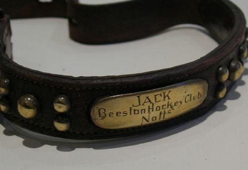 Antique English Leather & Brass Dog's Collar - Sporting / Hockey Interest