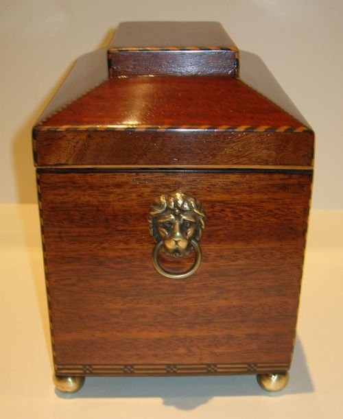 fig 1. Stunning English Regency Mahogany Tea Caddy - Shell Inlaid c.1820