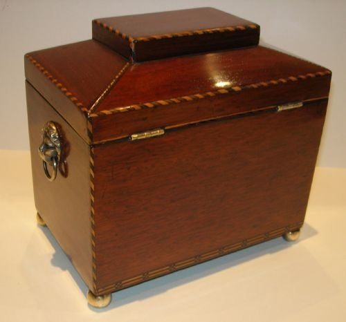 fig 2. Stunning English Regency Mahogany Tea Caddy - Shell Inlaid c.1820