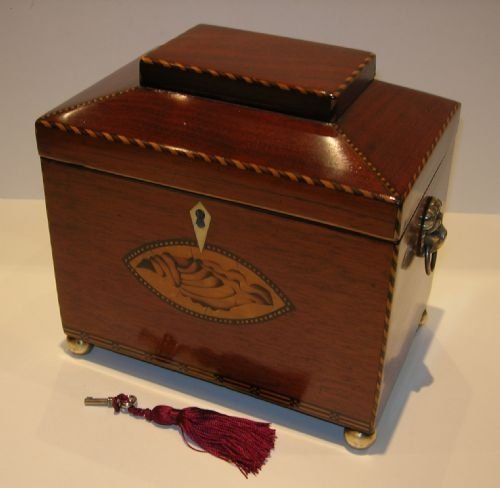 Stunning English Regency Mahogany Tea Caddy - Shell Inlaid C.1820
	
