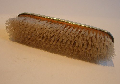 fig 1. Stunning English Antique Sterling Silver & Tortoise Shell Clothes Brush